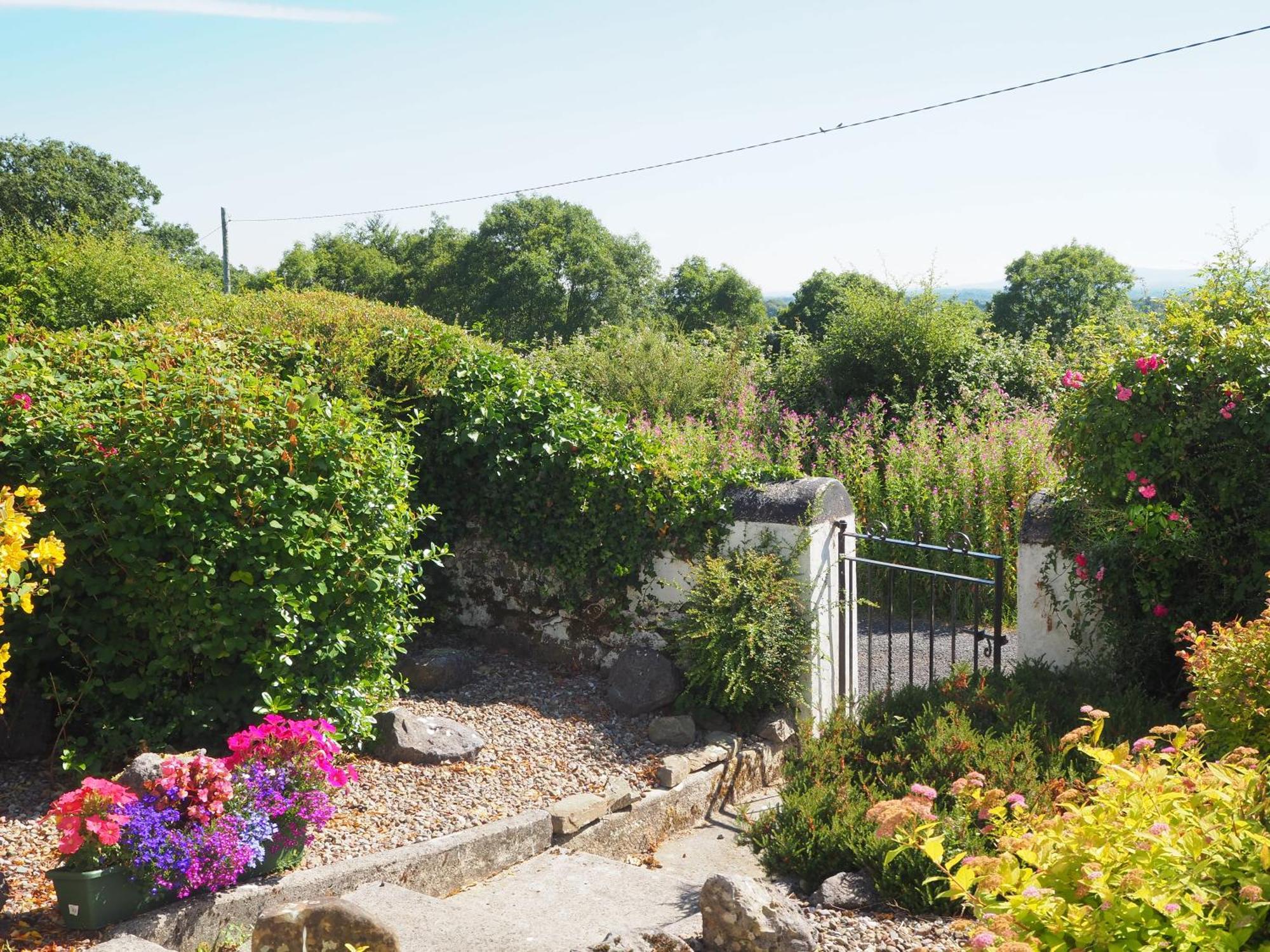 The Cottage @ Burkedale House Corofin  ภายนอก รูปภาพ