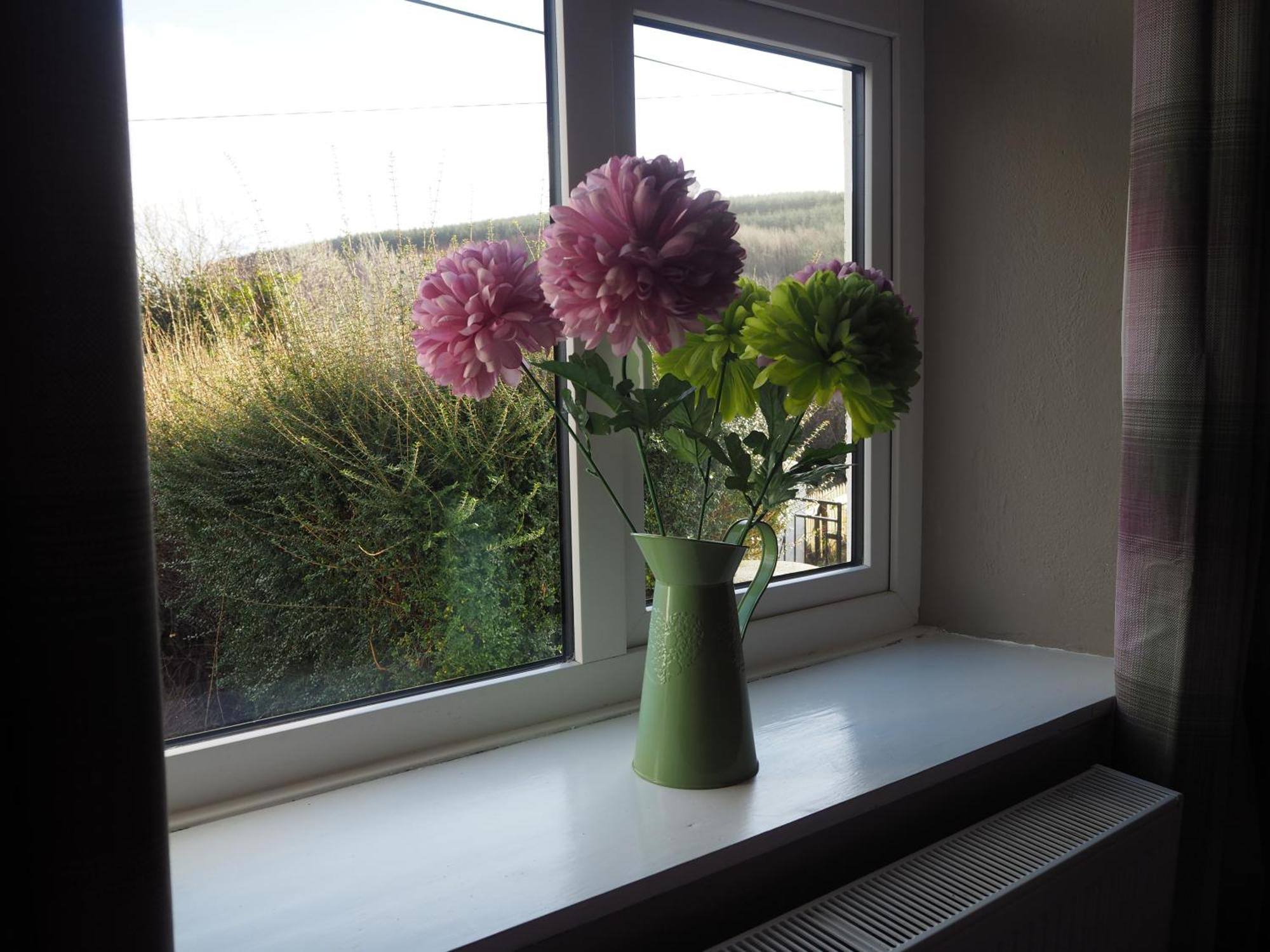 The Cottage @ Burkedale House Corofin  ภายนอก รูปภาพ